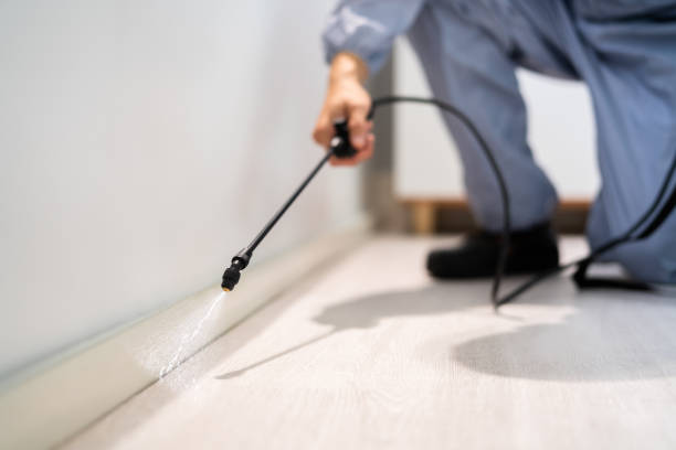 Licensed Pest Control service in Arcata, CA - Show Me Pest Control