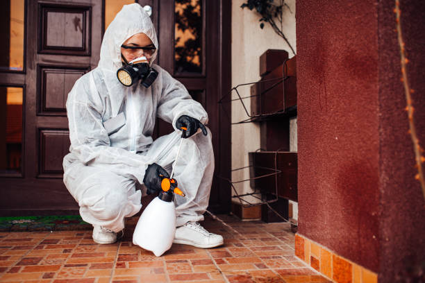 Reliable Mosquito Control contractor in Arcata, CA by Show Me Pest Control